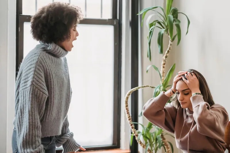 When Two Voices Become One Muddy Sound: Protecting Your Vision in Collaborative Work